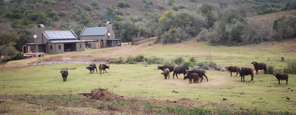 Botlierskop Bush Villas Sandhoogte Экстерьер фото