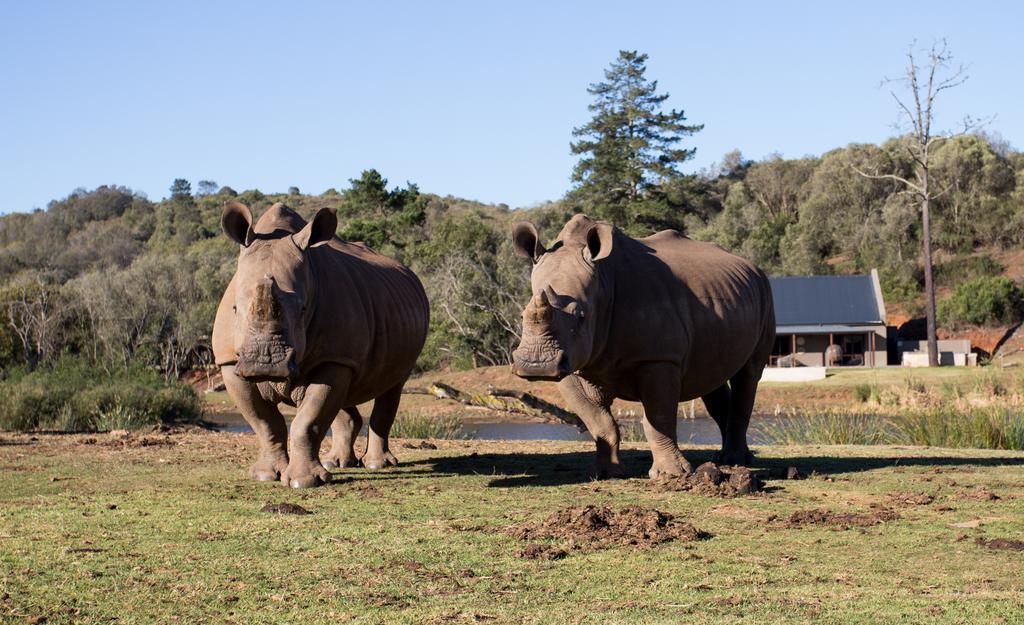 Botlierskop Bush Villas Sandhoogte Экстерьер фото