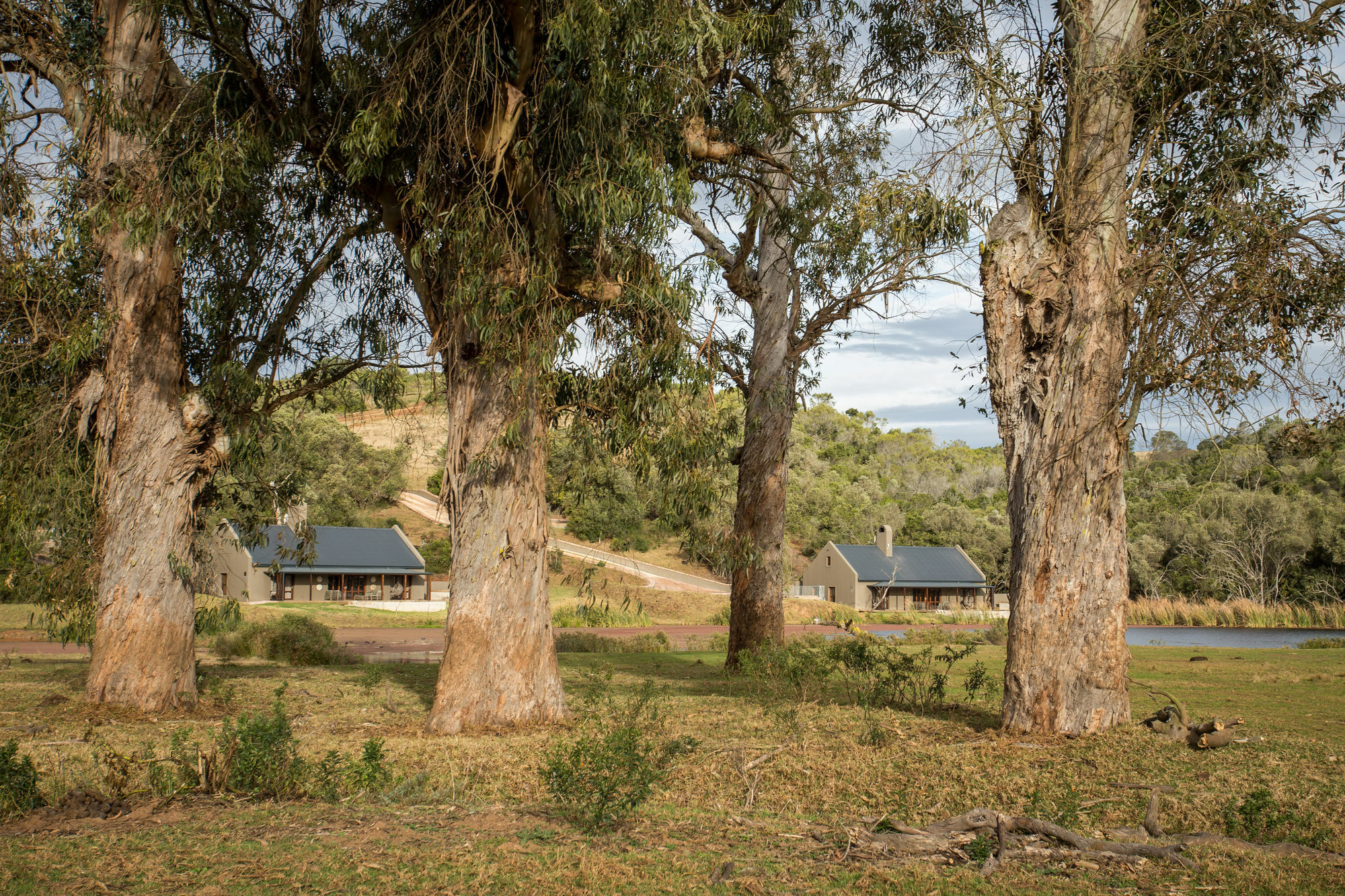 Botlierskop Bush Villas Sandhoogte Экстерьер фото