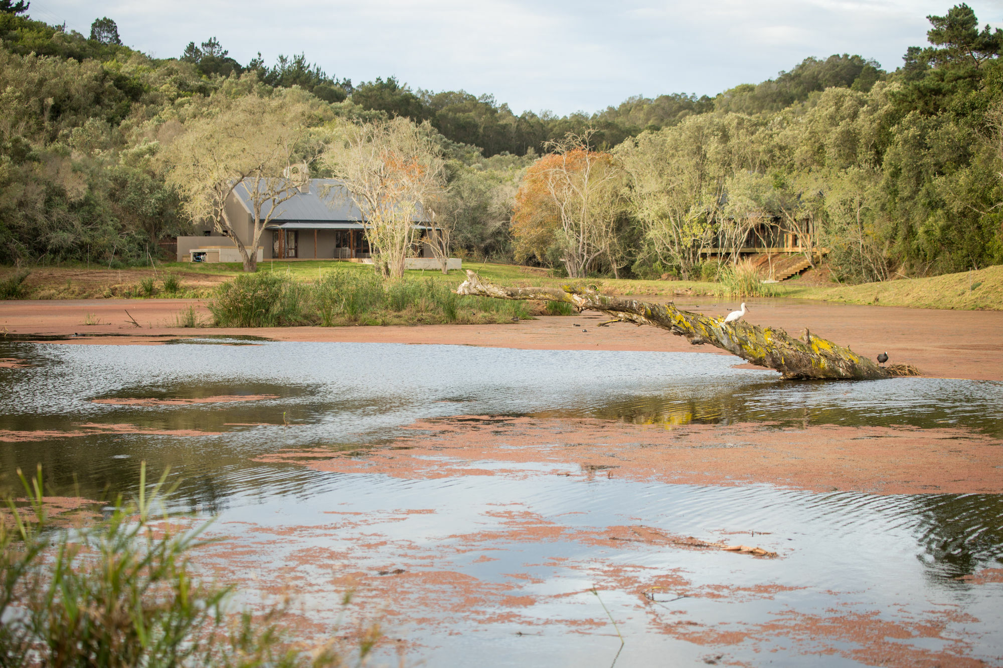 Botlierskop Bush Villas Sandhoogte Экстерьер фото